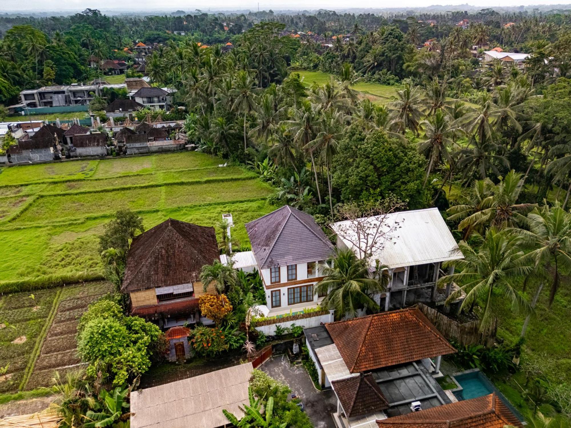 Tropical Tribe By Evdekimi - Stylish 3br With Nature View And Relaxing Pool - Long Extras Villa