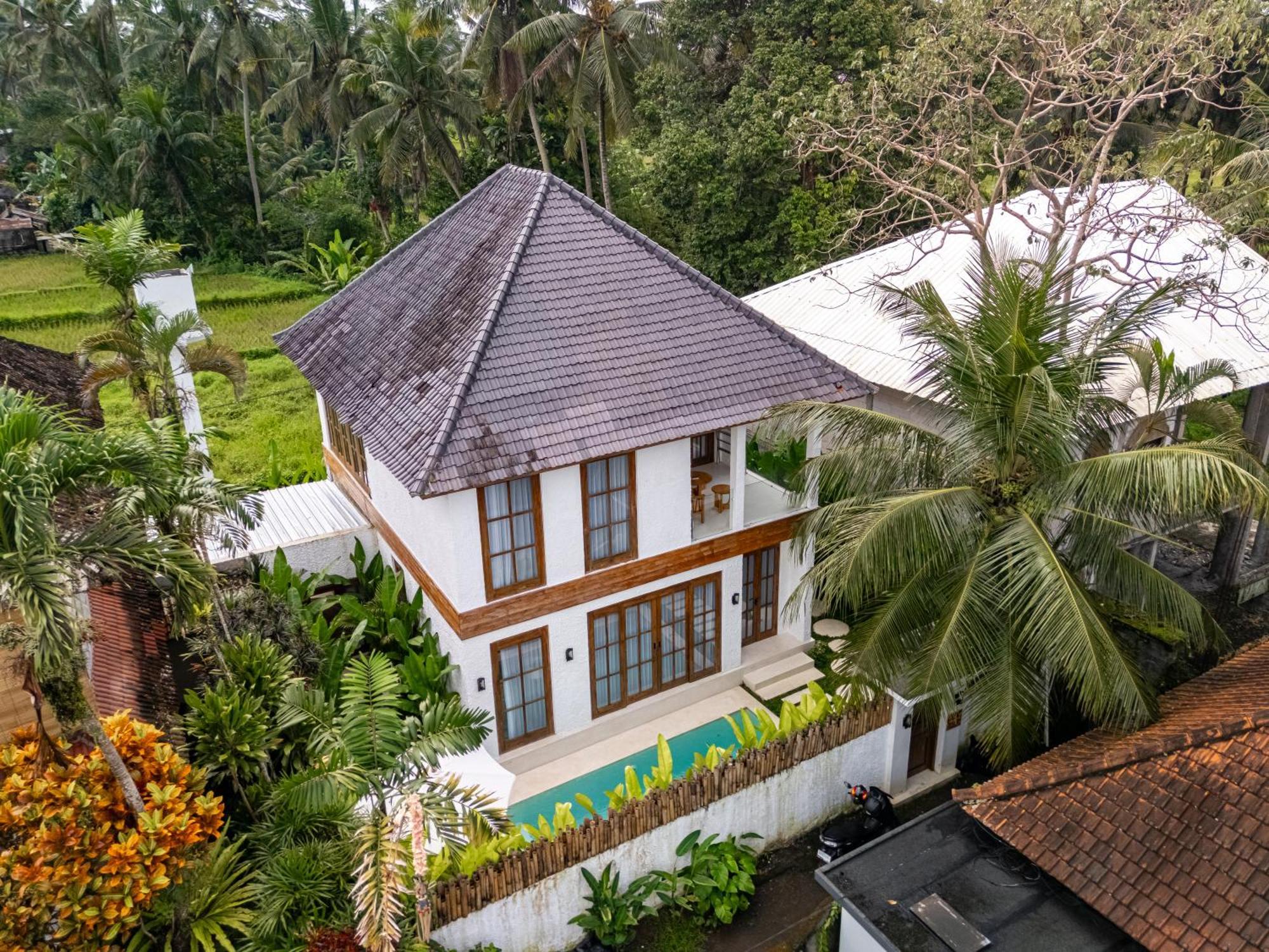 Tropical Tribe By Evdekimi - Stylish 3br With Nature View And Relaxing Pool - Long Extras