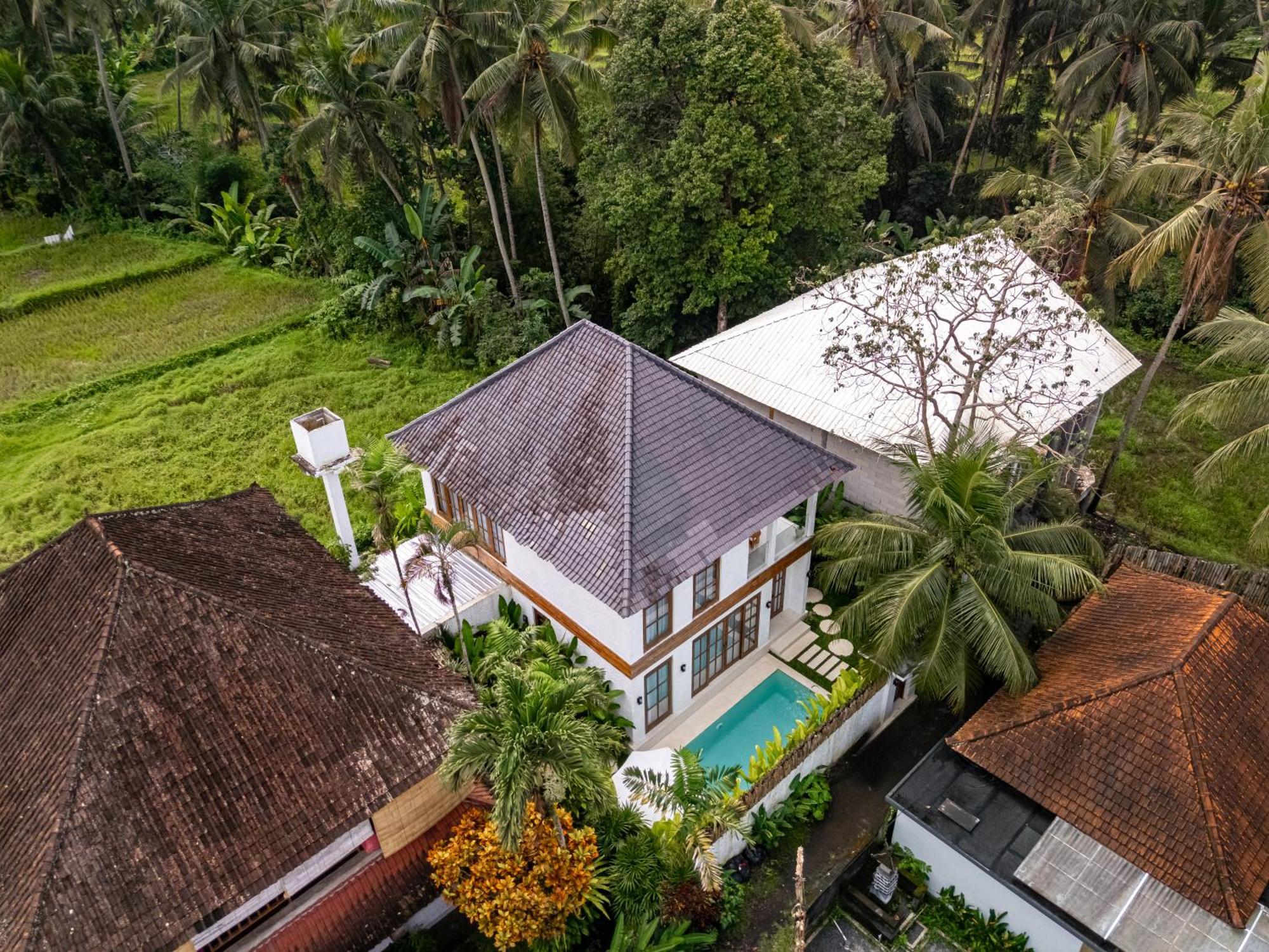 Villa Tropical Tribe By Evdekimi - Stylish 3br With Nature View And Relaxing Pool - Long Extras