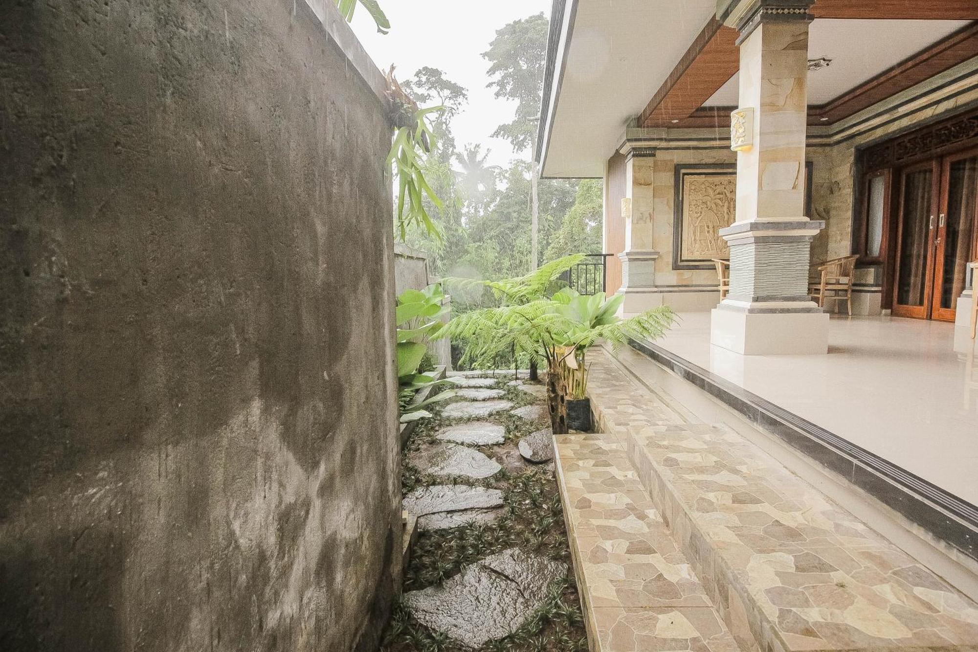 Guest house Backyard *