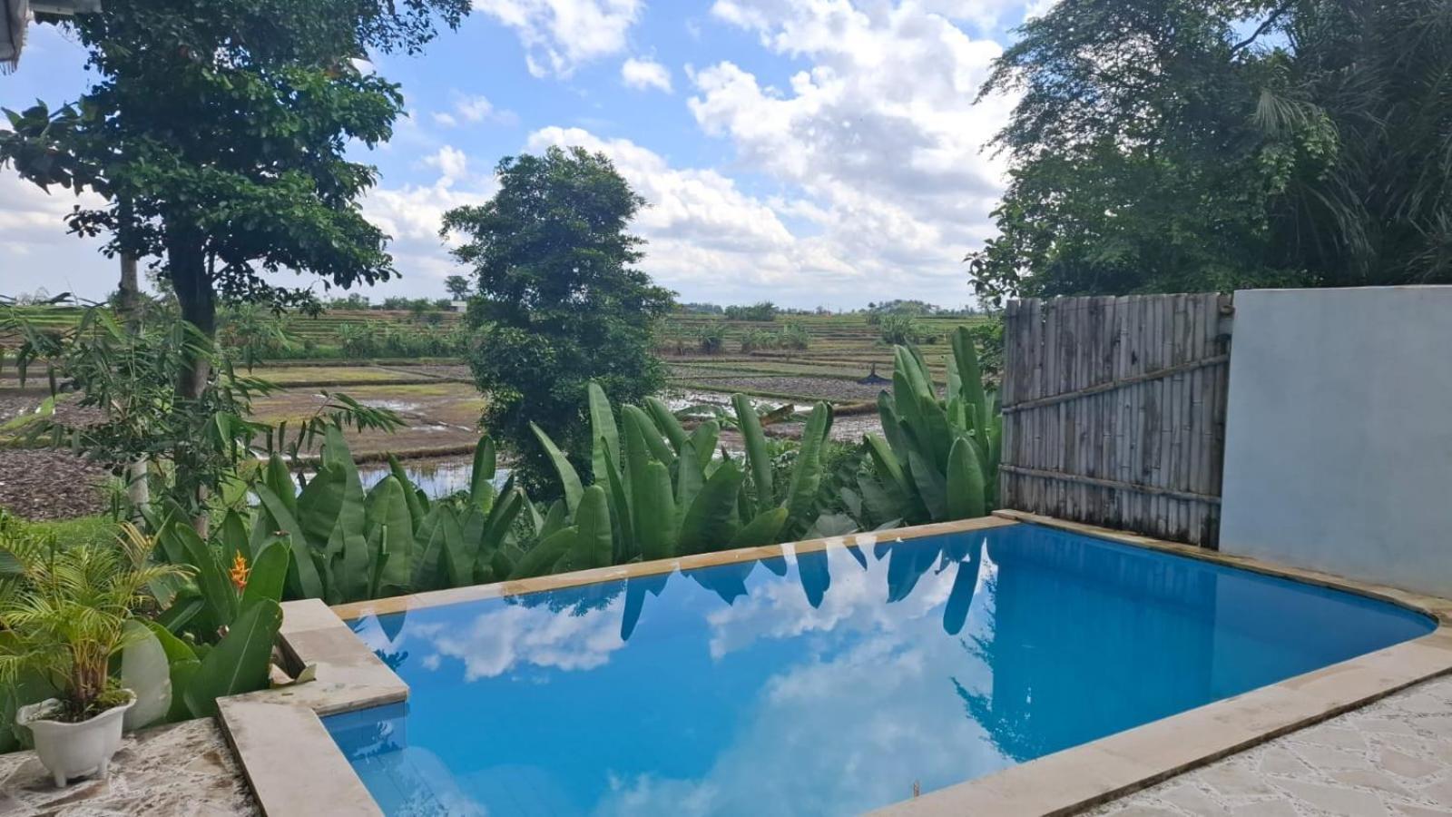 Rice Fild View 1 Private Bed Ubud (Bali)