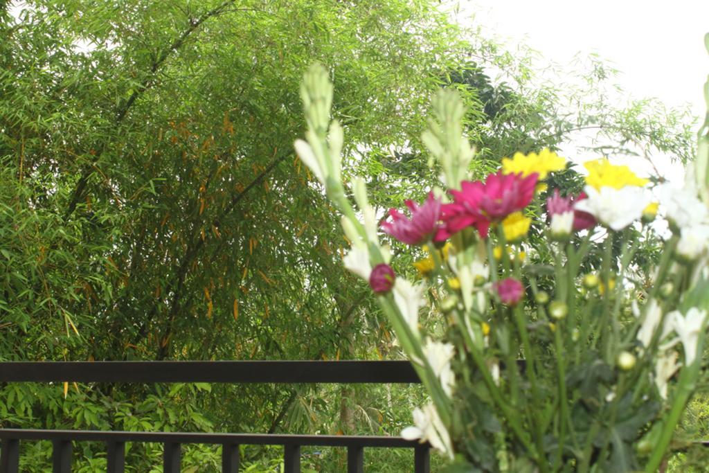 Vakantiepark Bambu *