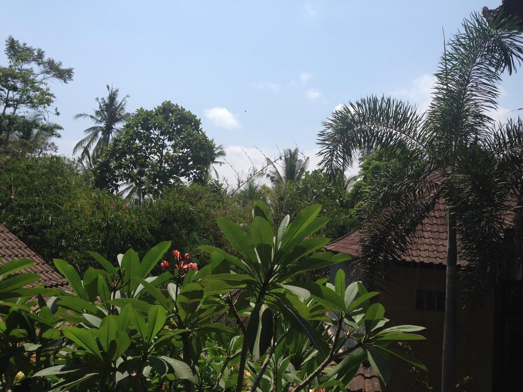 Ubud Rooms B&B Ubud
