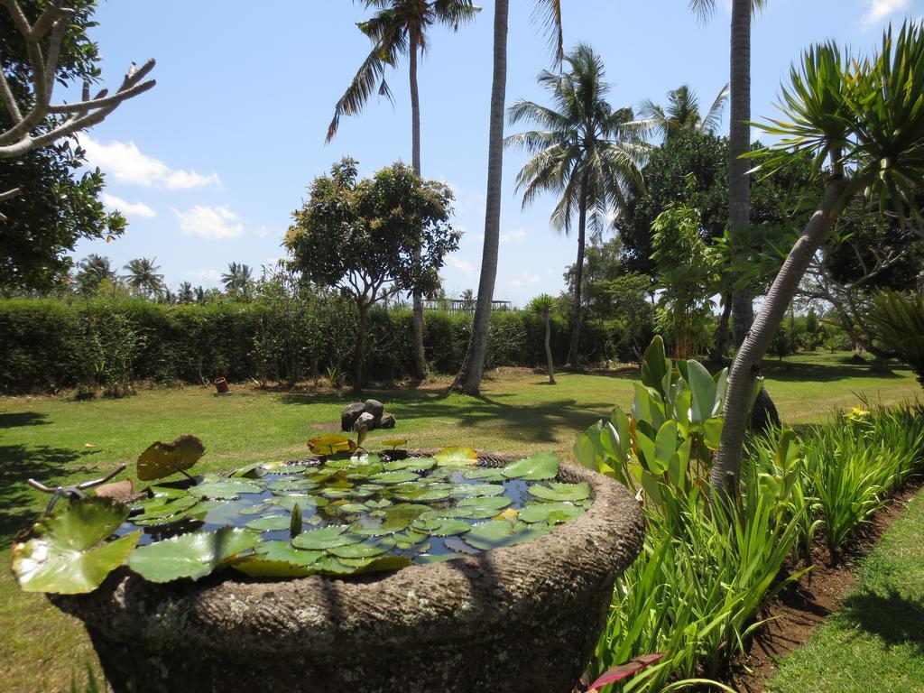 Bumi Resort 3*