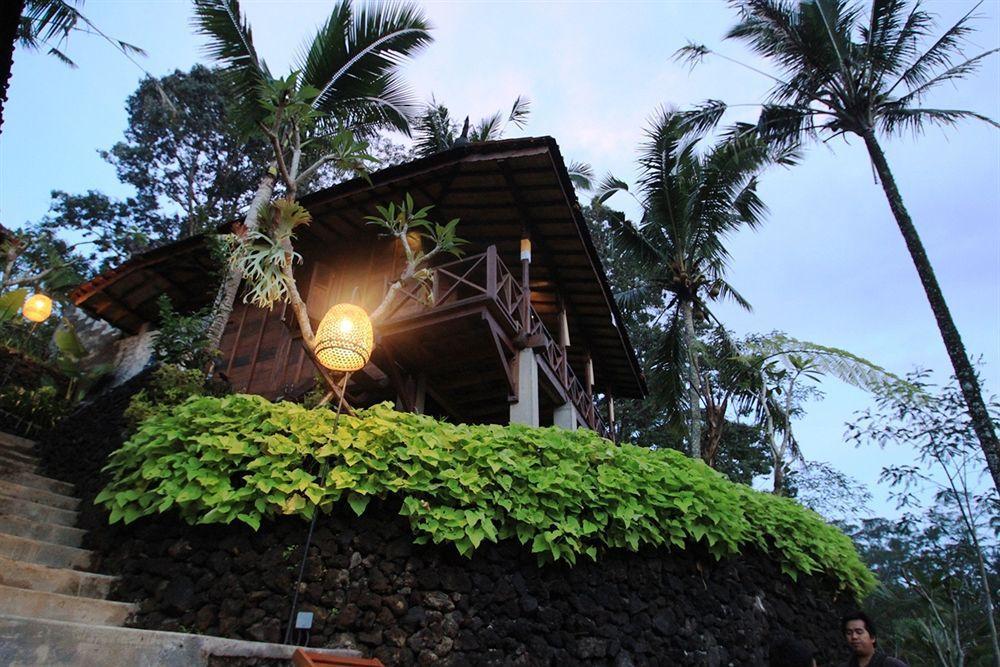 Jungle Holy Water 3* Ubud (Bali)