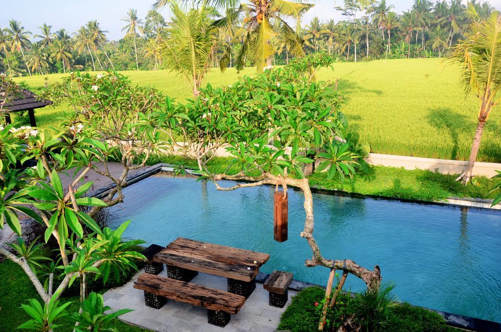 Villa Virgin