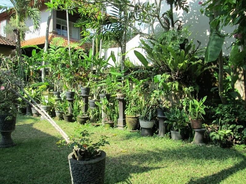 Gasthuis Raka Rai Ubud