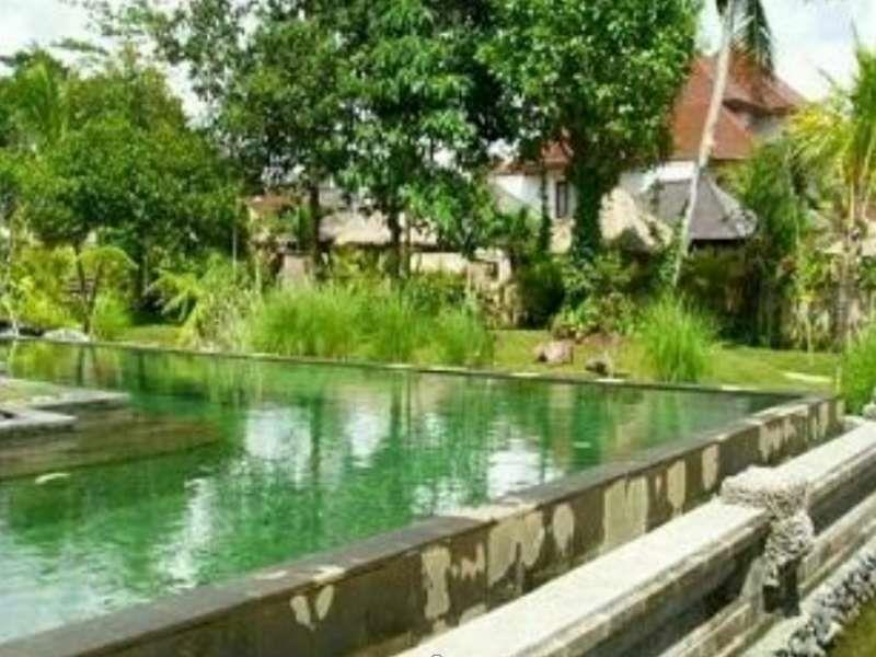 Baliwood - The Mansion Resort