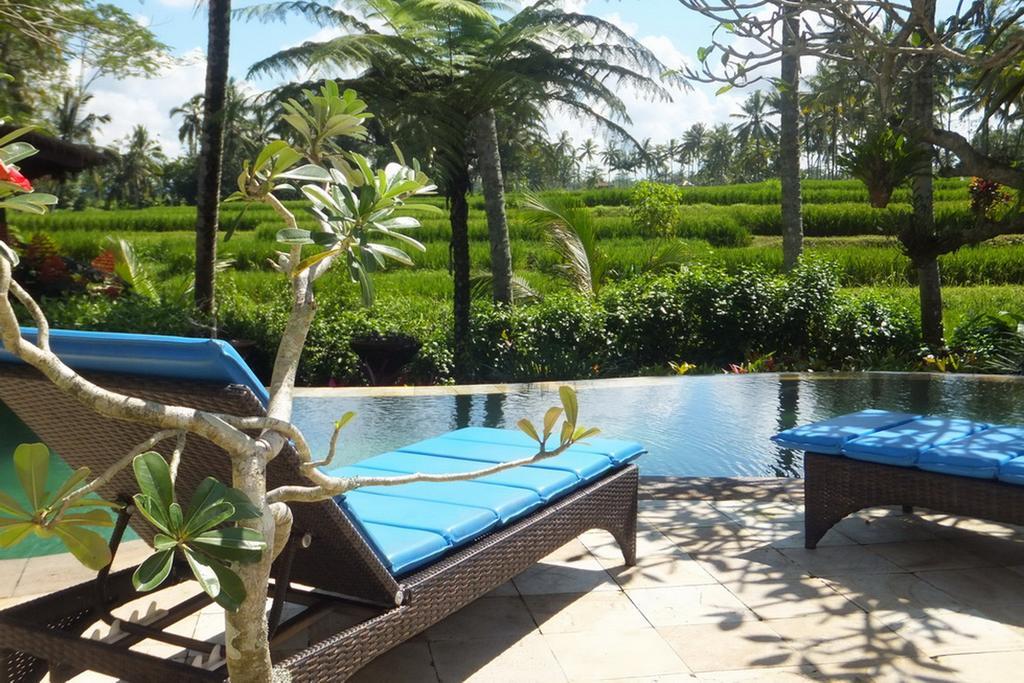 Orchid Bali