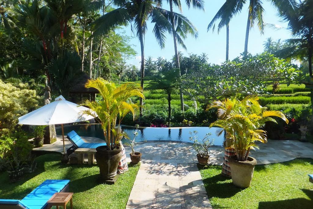 Orchid Bali *