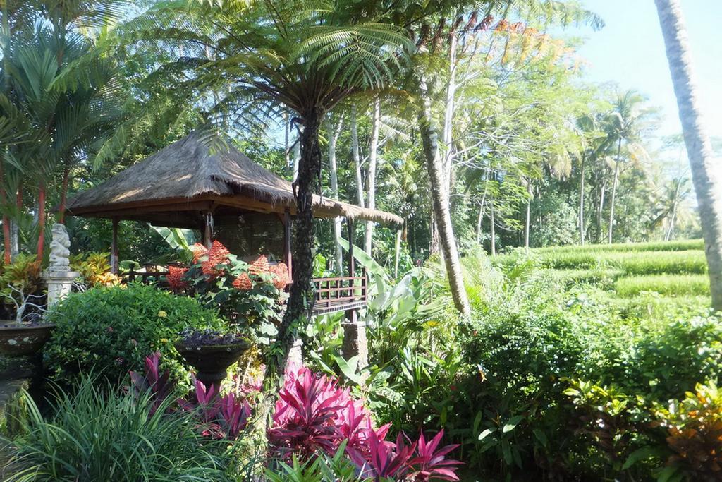 Orchid Bali Holiday home *