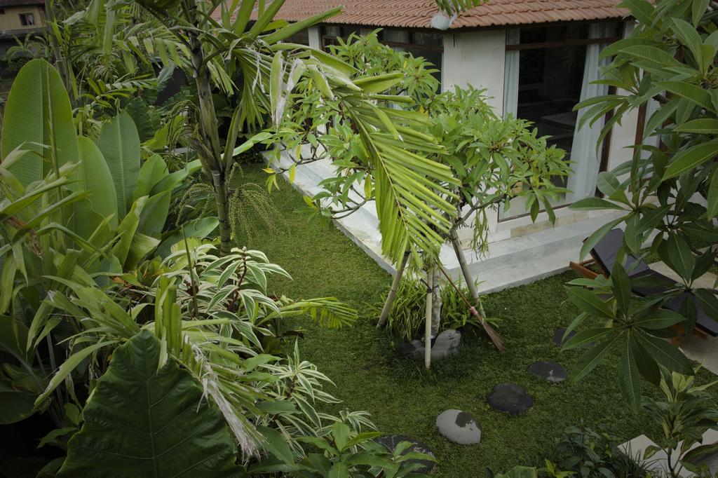 Dugul Ubud (Bali)