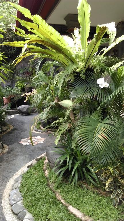 Homestay Praety Ubud (Bali)