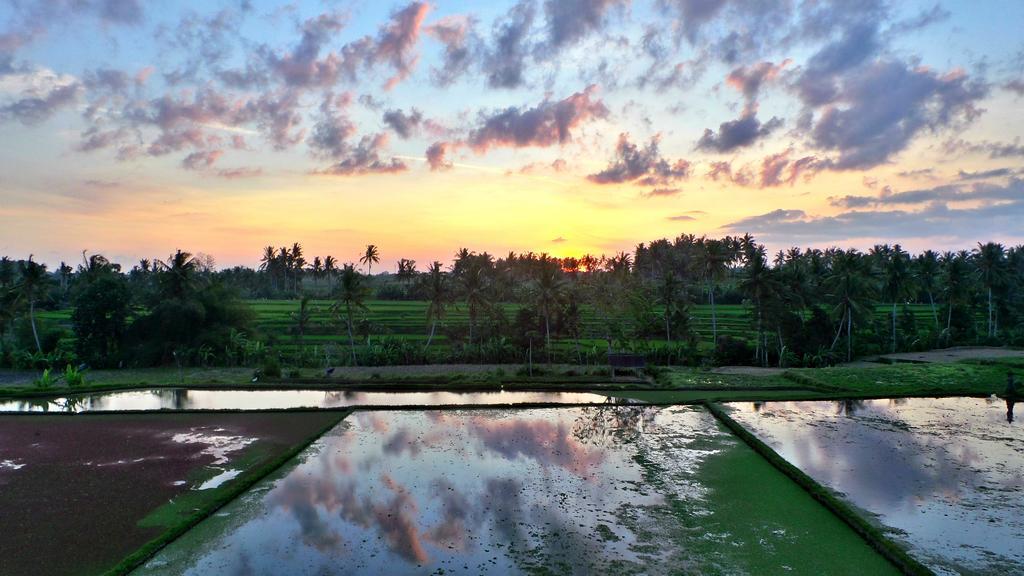 Villa Limasan, Ubud
