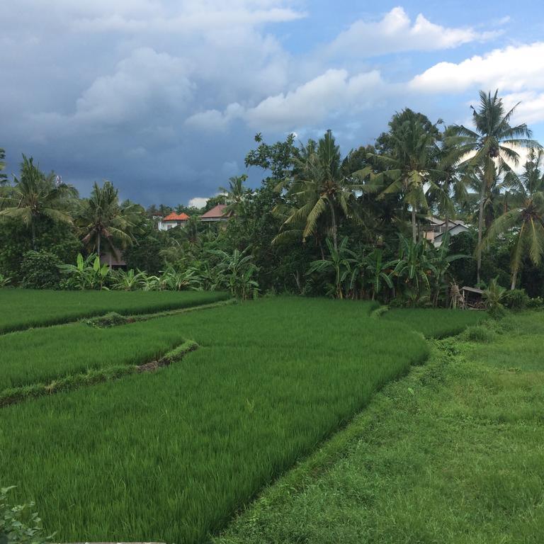 Guest house Uma Kutuh 2 Ubud (Bali)