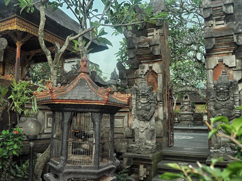 Angga Ubud