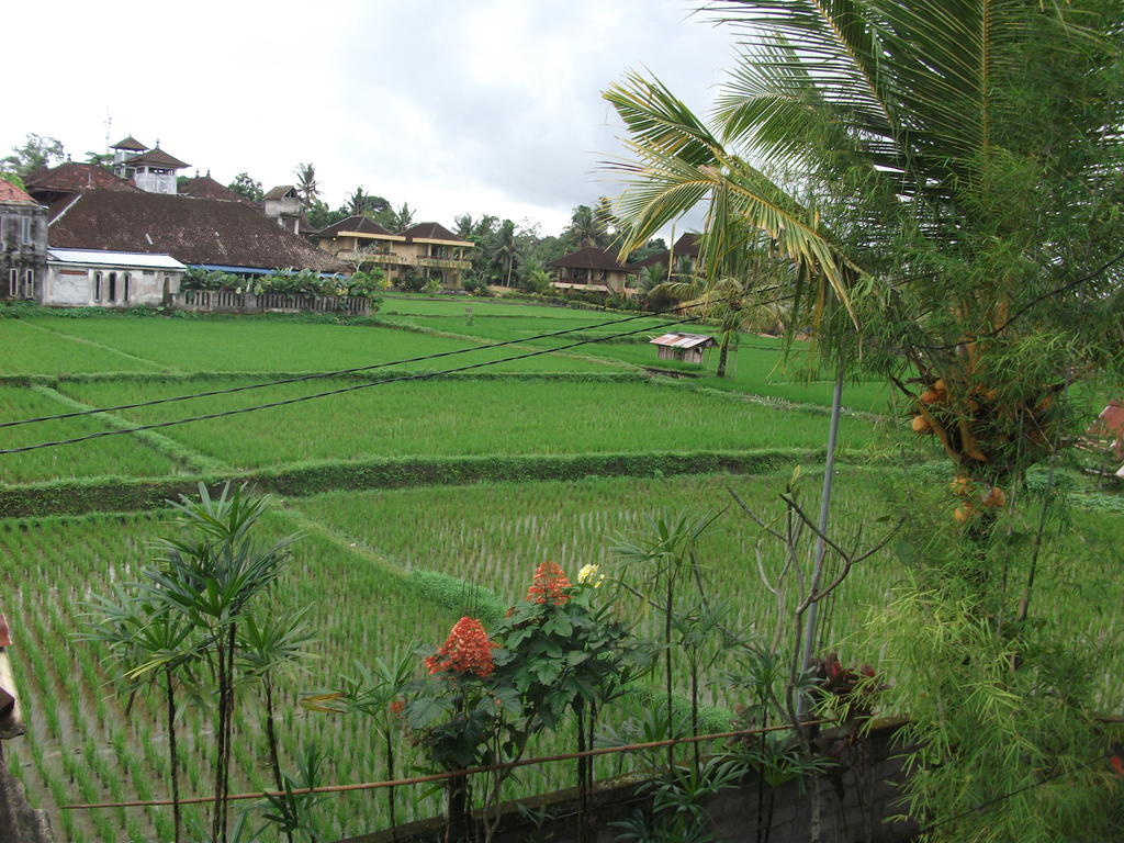 Gerhana Sari 2