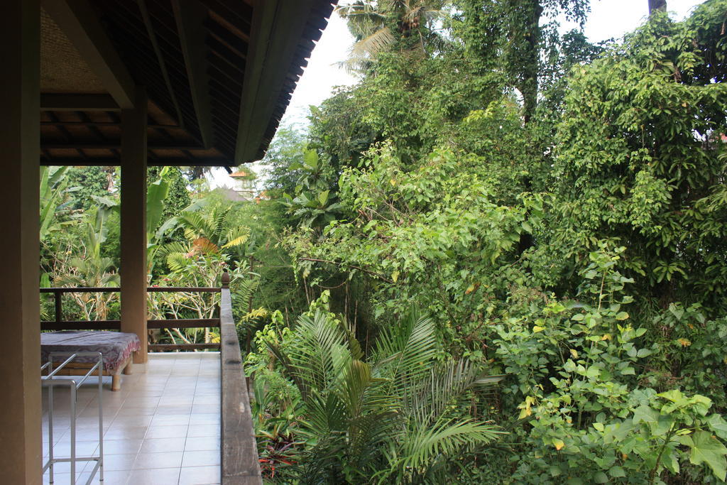 Raka Rai