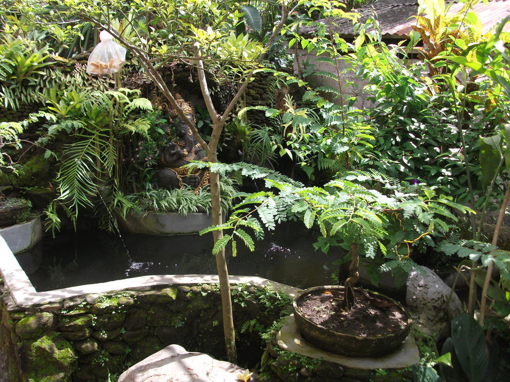 Privatunterkunft Arsa & Ubud