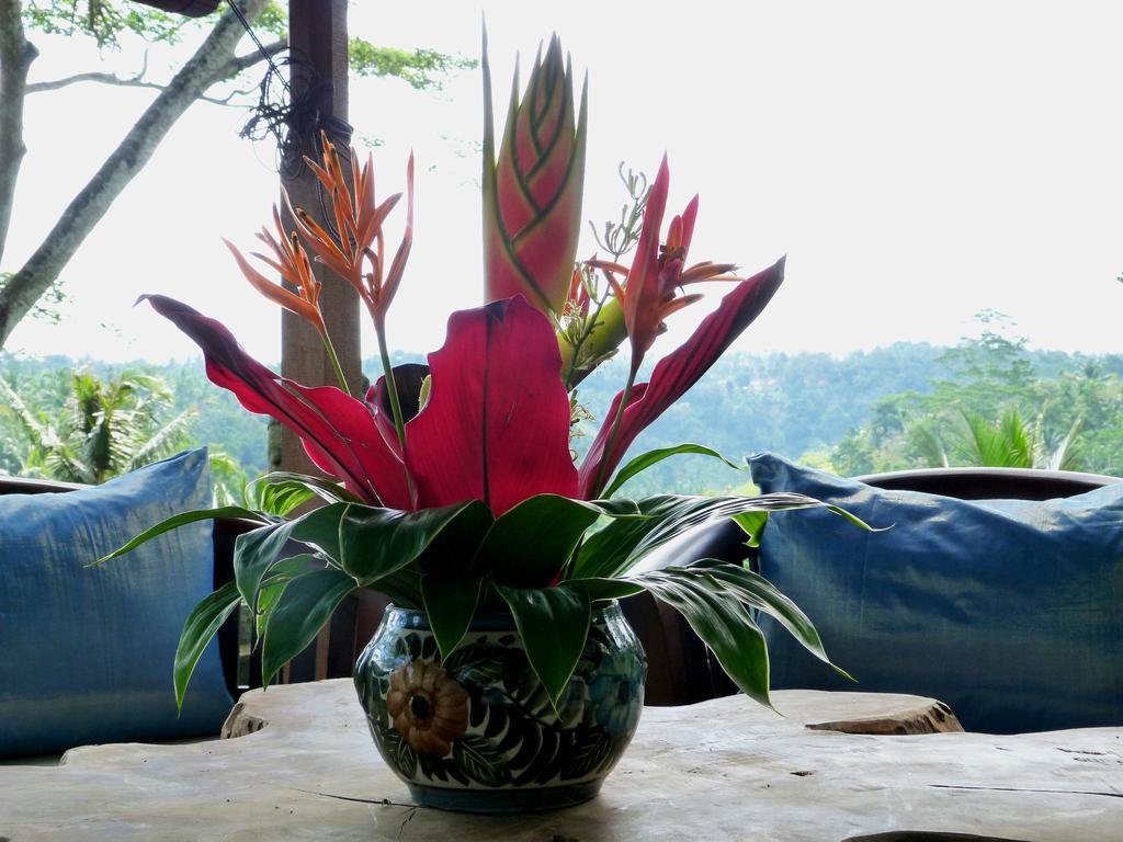 Guest house Spirit Ubud (Bali)