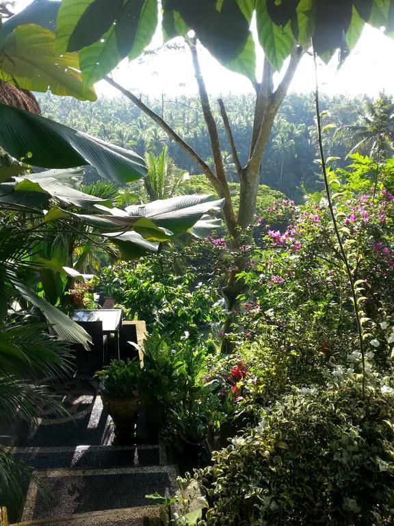 Guest house Spirit Ubud (Bali)