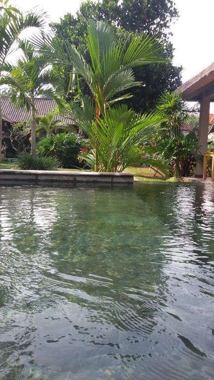 Suka's House Ubud (Bali)