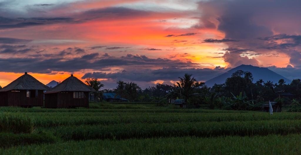 Rumah liburan Solo & Retreat *