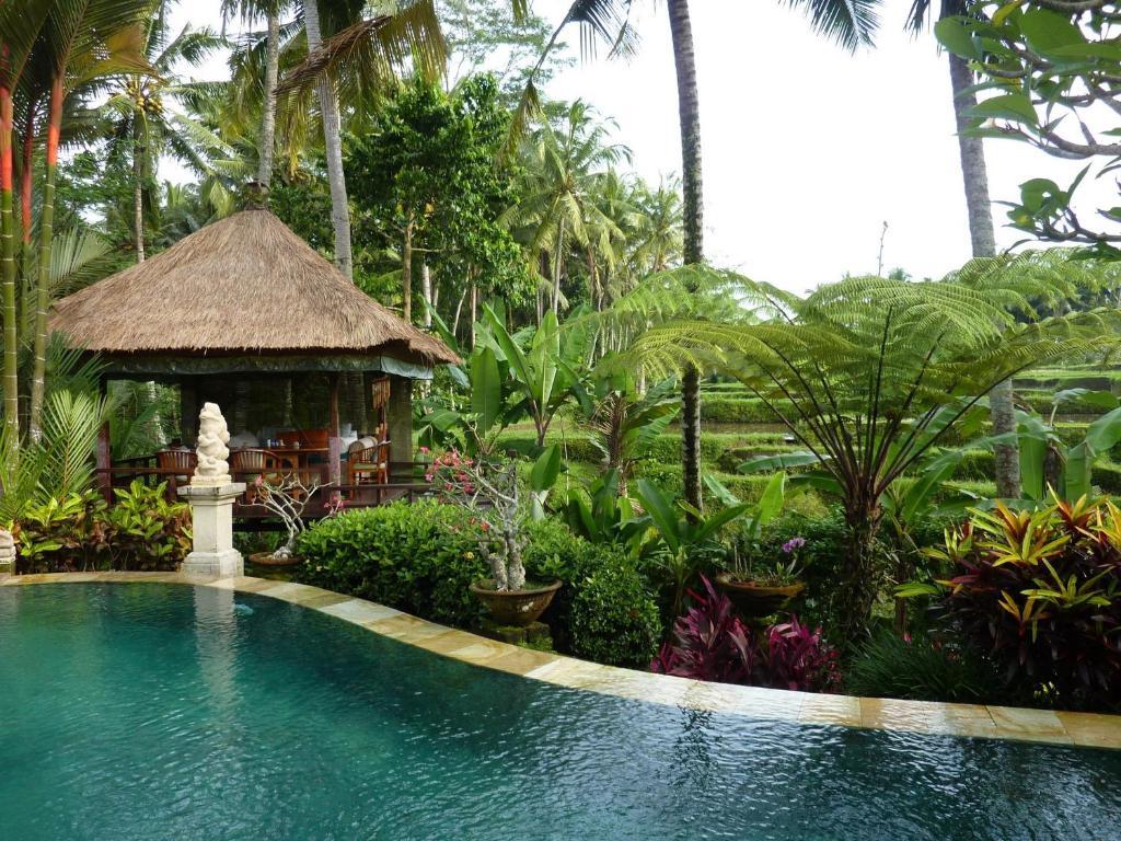 Orchid Bali * Ubud (Bali)