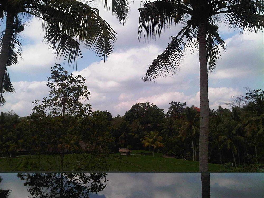 Motama * Ubud (Bali)