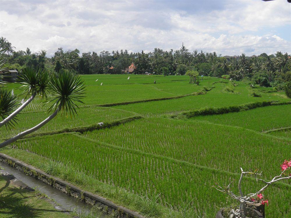 Bumi Resort 3*