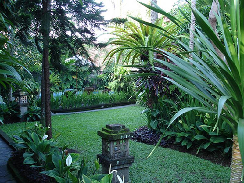 Hotel Adi Ubud
