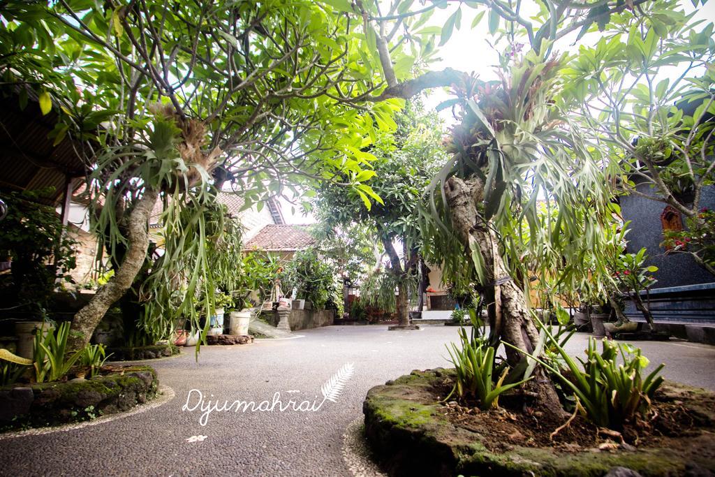 Homestay Dijumahrai