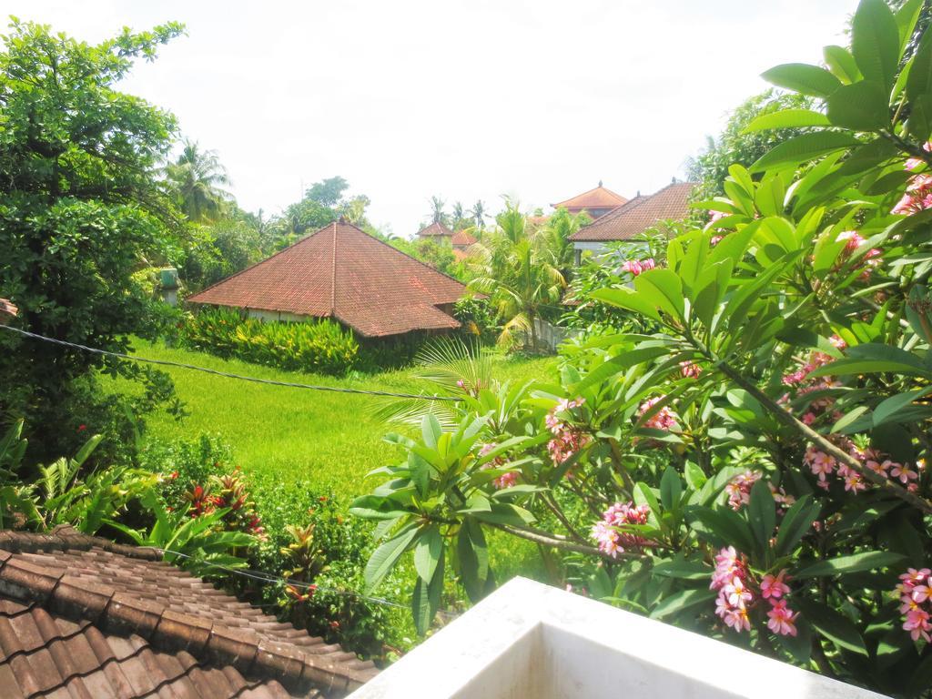 Guest house Peteka
