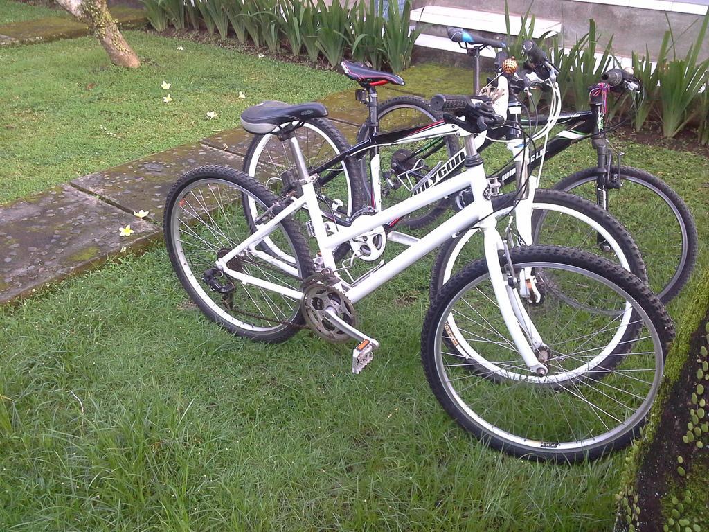 Dewi Ayu Guest house Ubud (Bali)