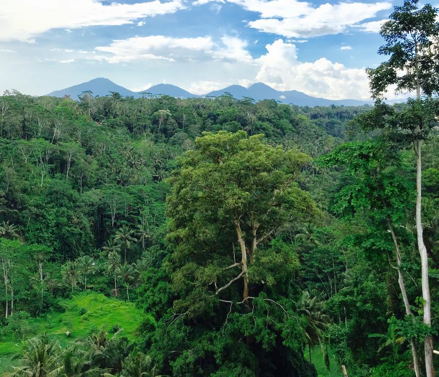 Villa Ayuterra Ubud