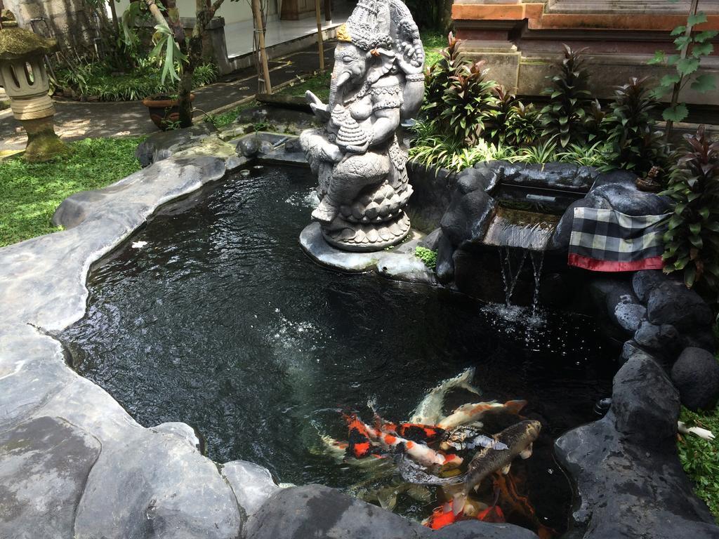 Arsa & * Ubud