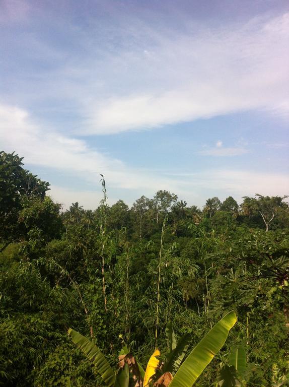 Bali Homestay