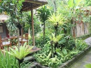 Resort Nefatari Exclusive 4*