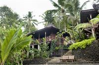 Hotel Dd Ubud Jungle Villa