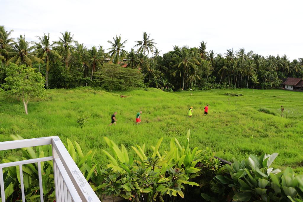 Guest house Uma Kutuh 2 2*