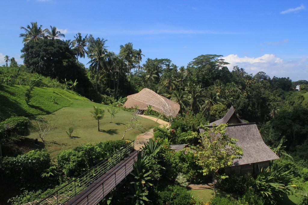 Hotel Amori