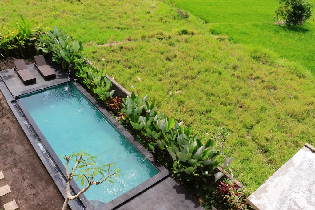 Uma Kutuh 2 Guest house Ubud (Bali)