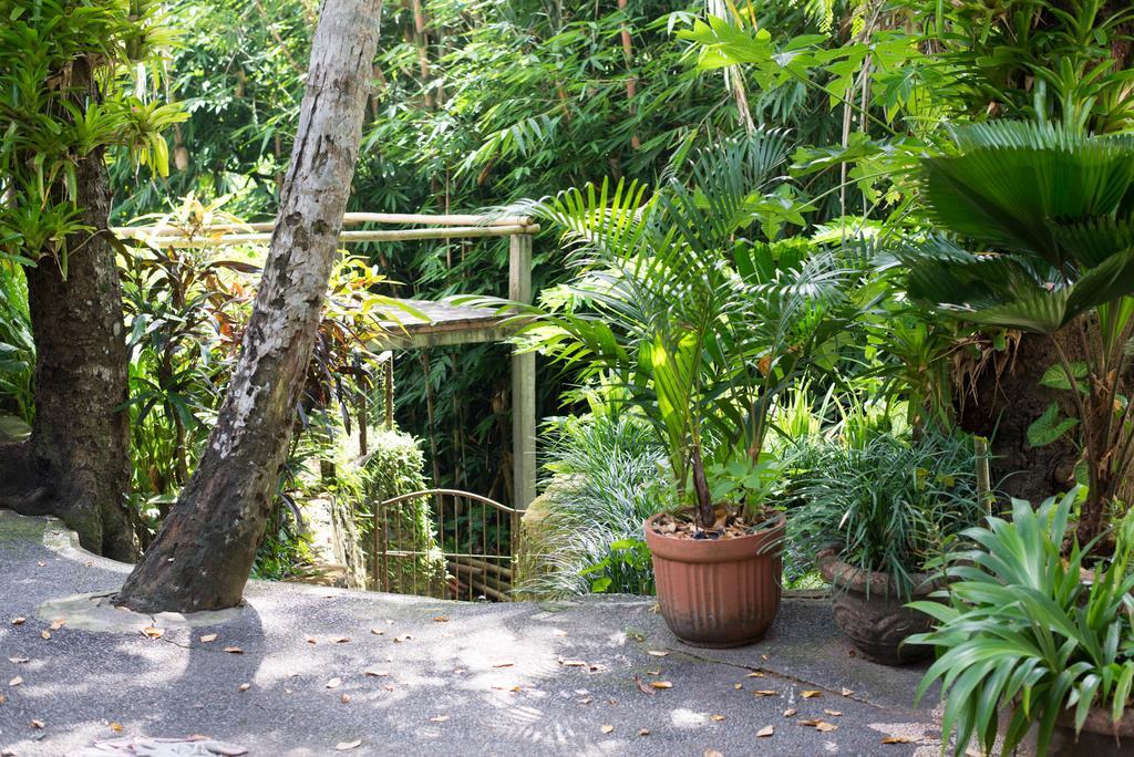 Serenity House Guest house