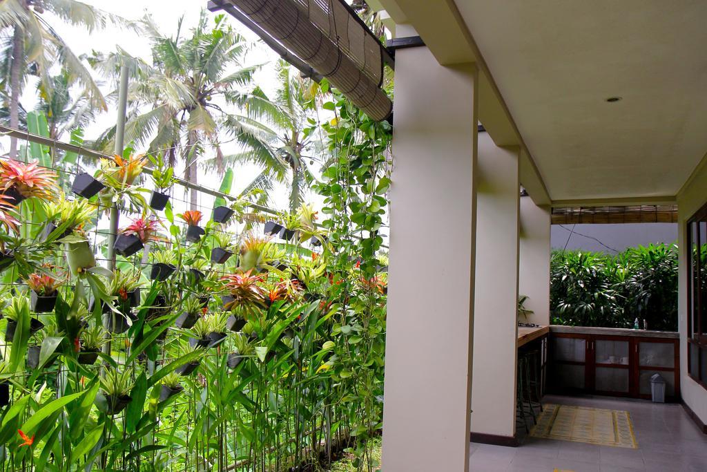 Rumah Taman Gasthuis 3*