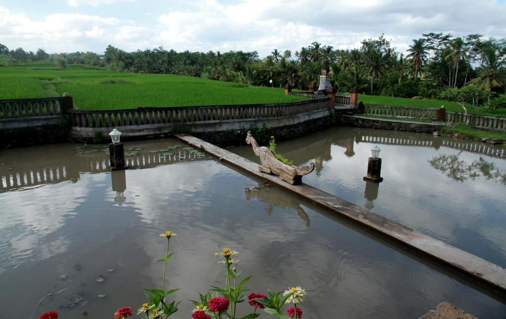 Puri Rasa Villas And Holiday park Ubud (Bali)