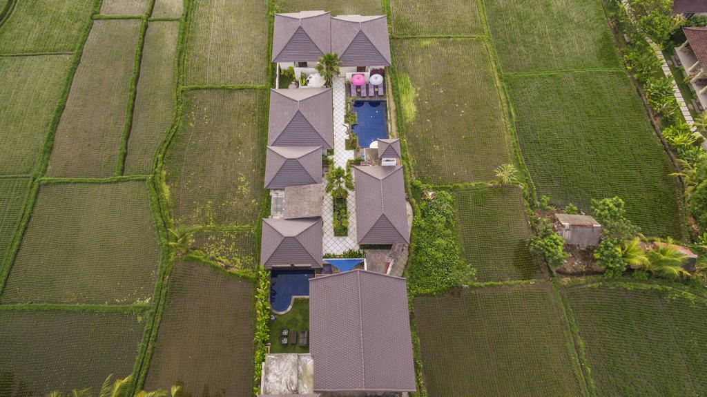 Solo & Retreat Rumah liburan Ubud (Bali)