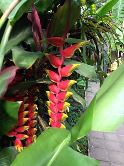 Indraprastha Ubud (Bali)