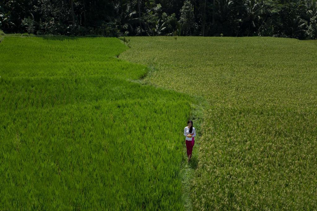 Alosta Luxury Private * Ubud (Bali)