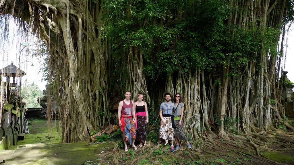 Homestay In Da Garden Ubud (Bali)