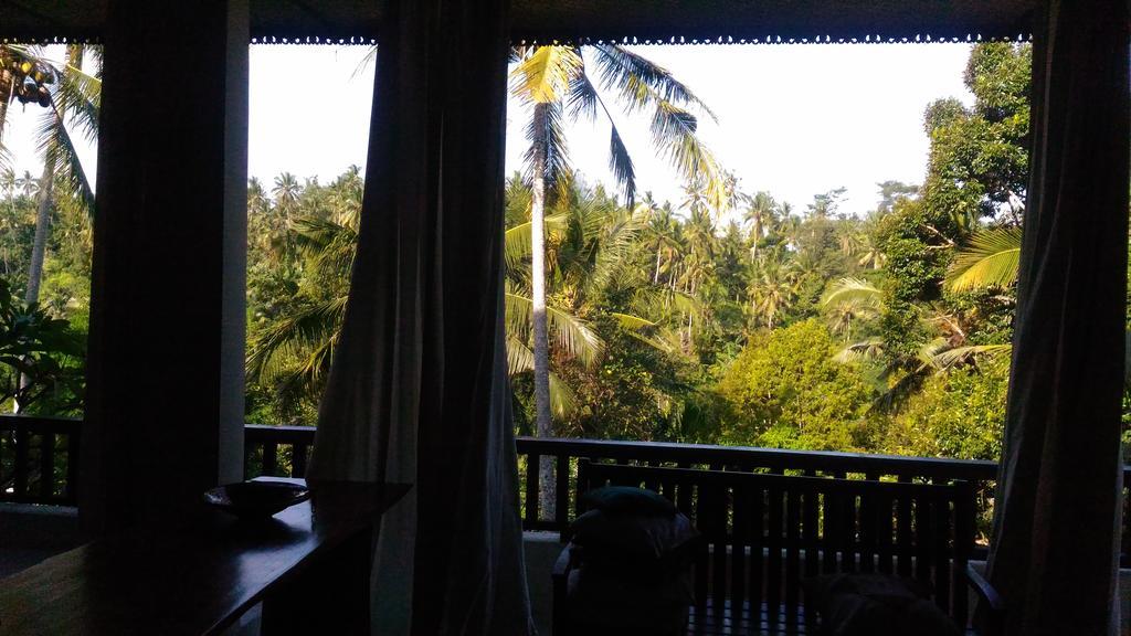 Punia's Jungle * Ubud (Bali)